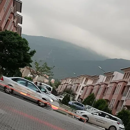 Tayaka Bursa